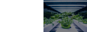 LED-Module und -Systeme für Horticulture Beleuchtung