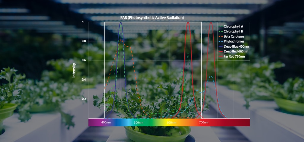 Horticulture-PAR